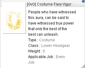 gvg_costume_1.jpg